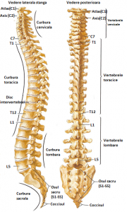 artroza și hernia tratamentului vertebrei cervicale)