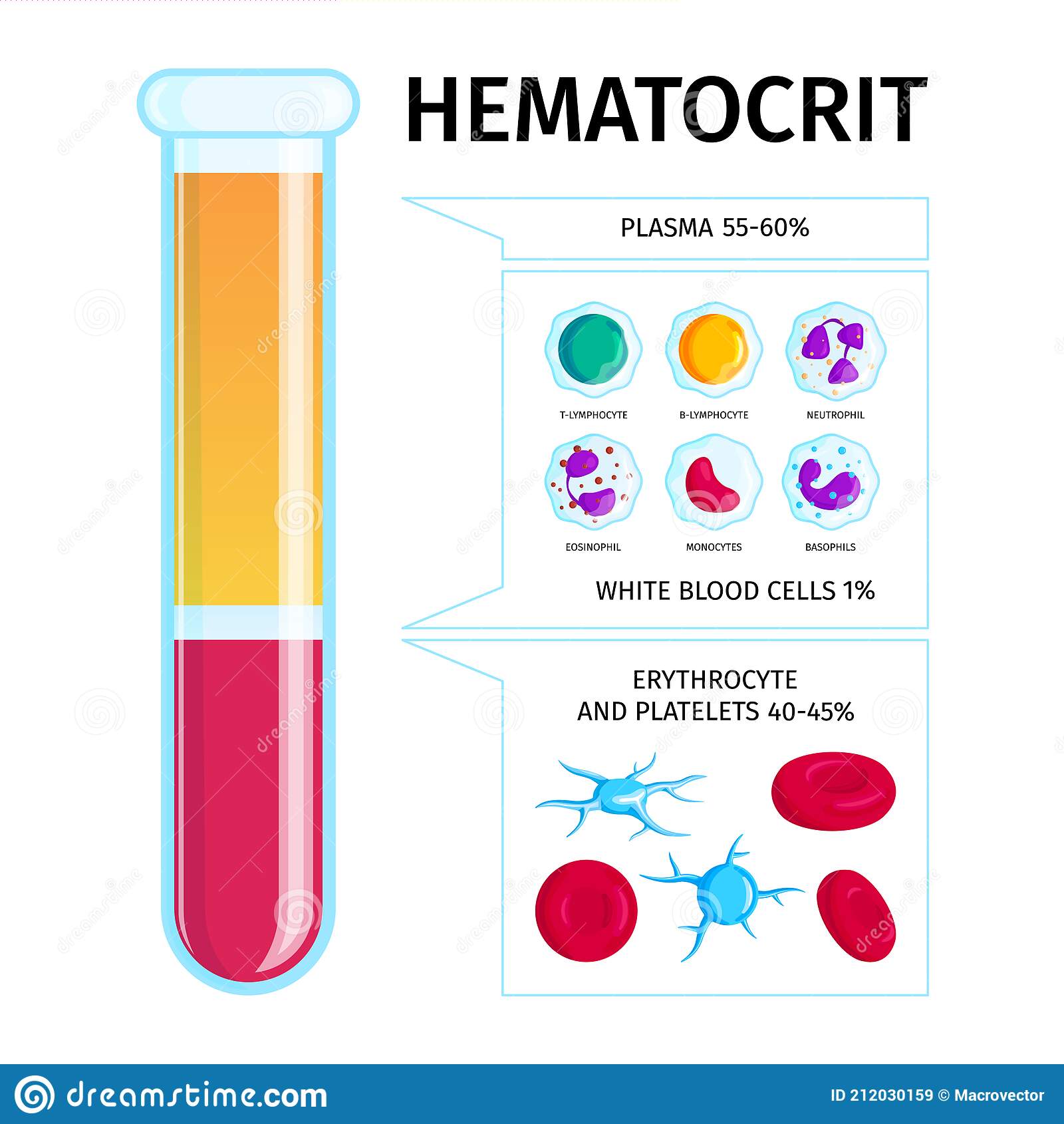  Hematocrit