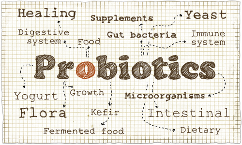 Probioticele- beneficiile la copiii cu autism