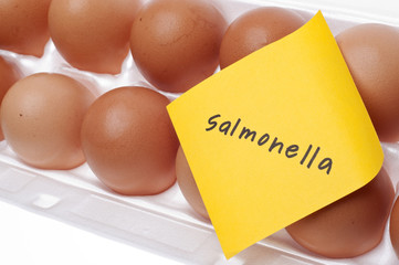  Infectia cu Salmonella (Salmoneloza)