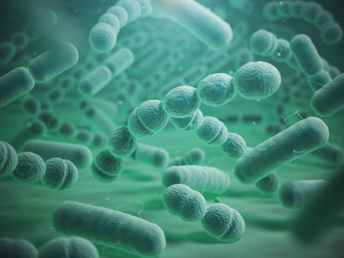  Genul Shigella – dizenteria bacteriană