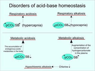  Acidoza metabolică – de ce apare și cum se tratează?