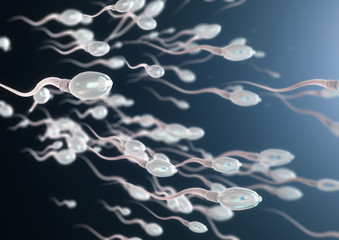  Fiziologia formării lichidului spermatic și ejacularea