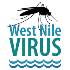  Infecția cu virusul West Nile