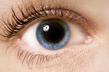 Dimensiunea pupilei depinde de vedere, Ochi uman - Human eye - schneiderturm.ro