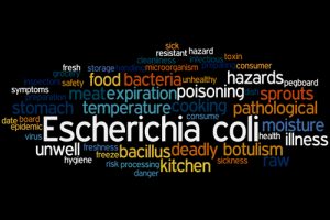 Escherichia coli transmitere sexuala