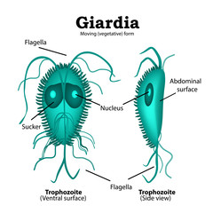giardia paraziti simptome