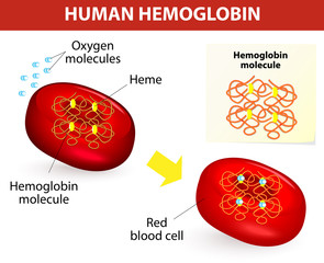 scădere a hemoglobinei și pierdere în greutate