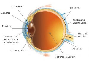 cu lipsa vitaminei a, vederea se deteriorează exerciții de restabilire a vederii video